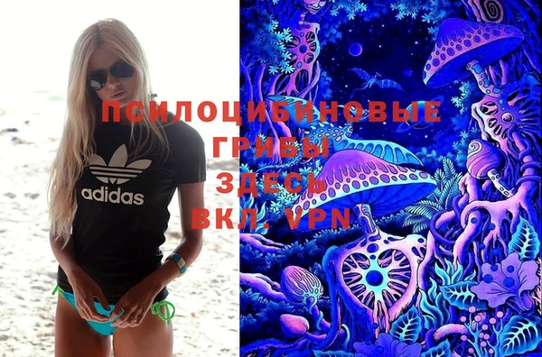 гидропоника Алексин