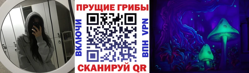 площадка Telegram Бирск ссылка на мегу tor Галлюциногенные грибы ЛСД купить закладку